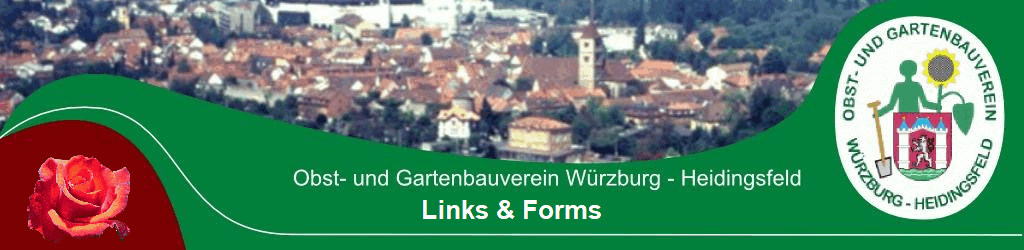 Links & Forms